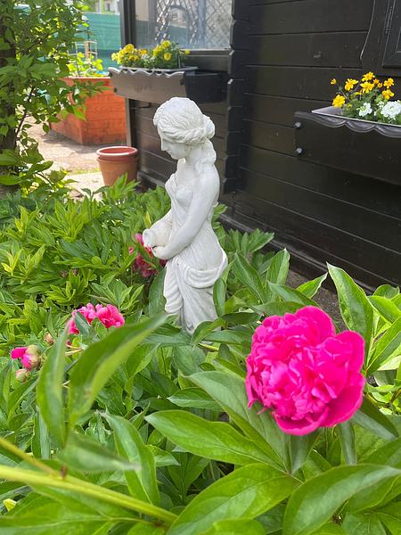 Garten 8