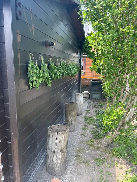 Garten 8