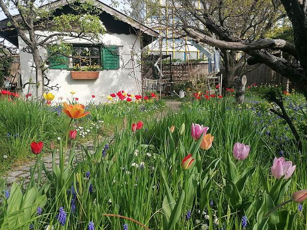Garten 24
