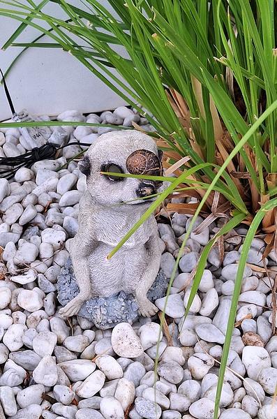 Garten 74