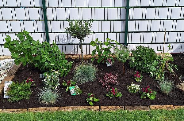 Garten 74