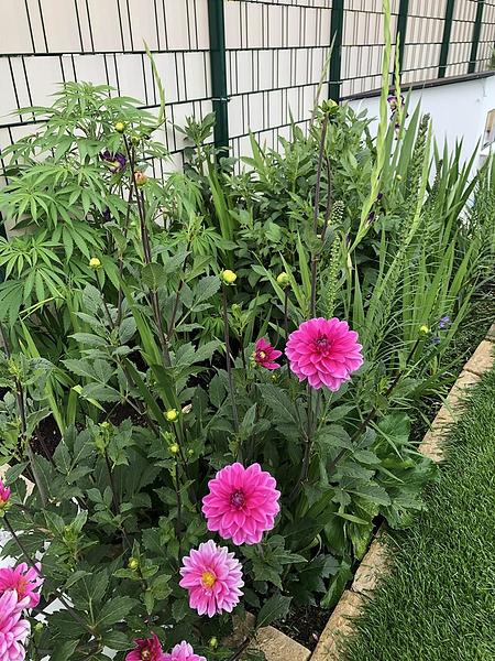 Garten 74