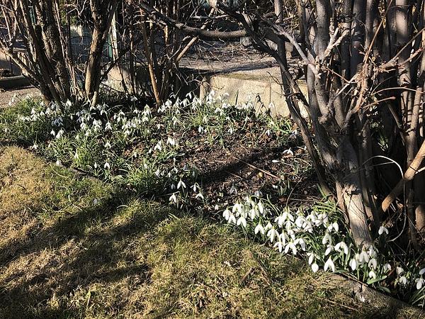 Garten 74