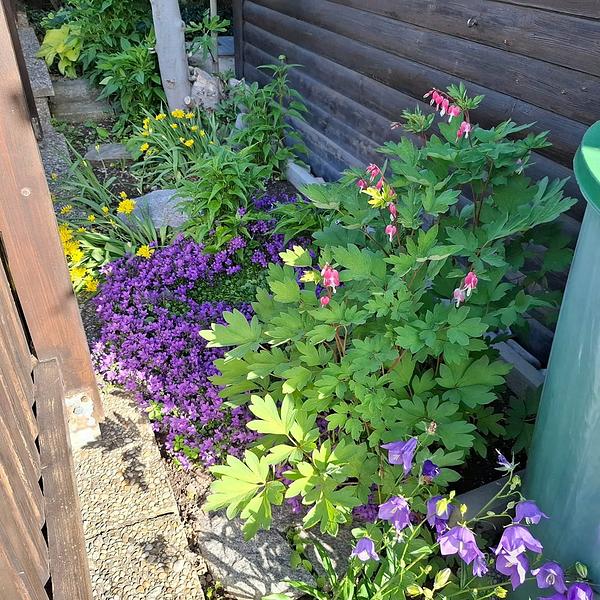 Garten 79