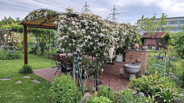 Garten 79