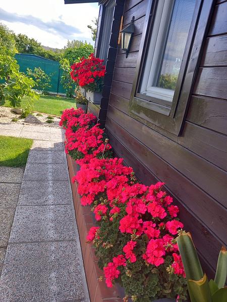 Garten 111