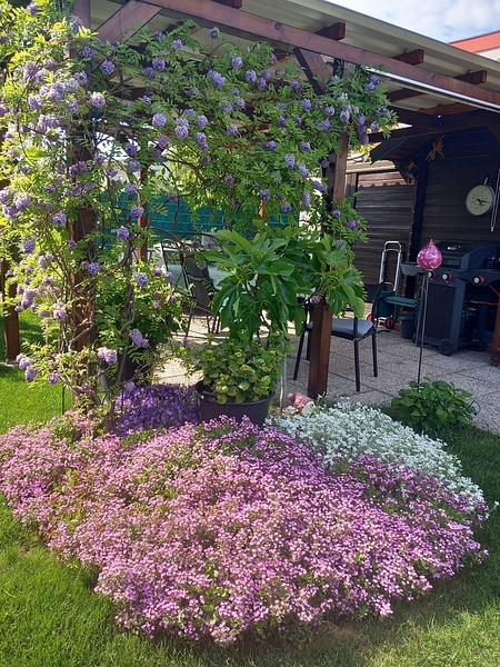 Garten 111