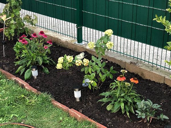 Garten 117
