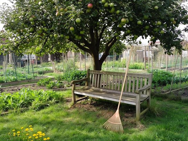Anlage Obstbaum